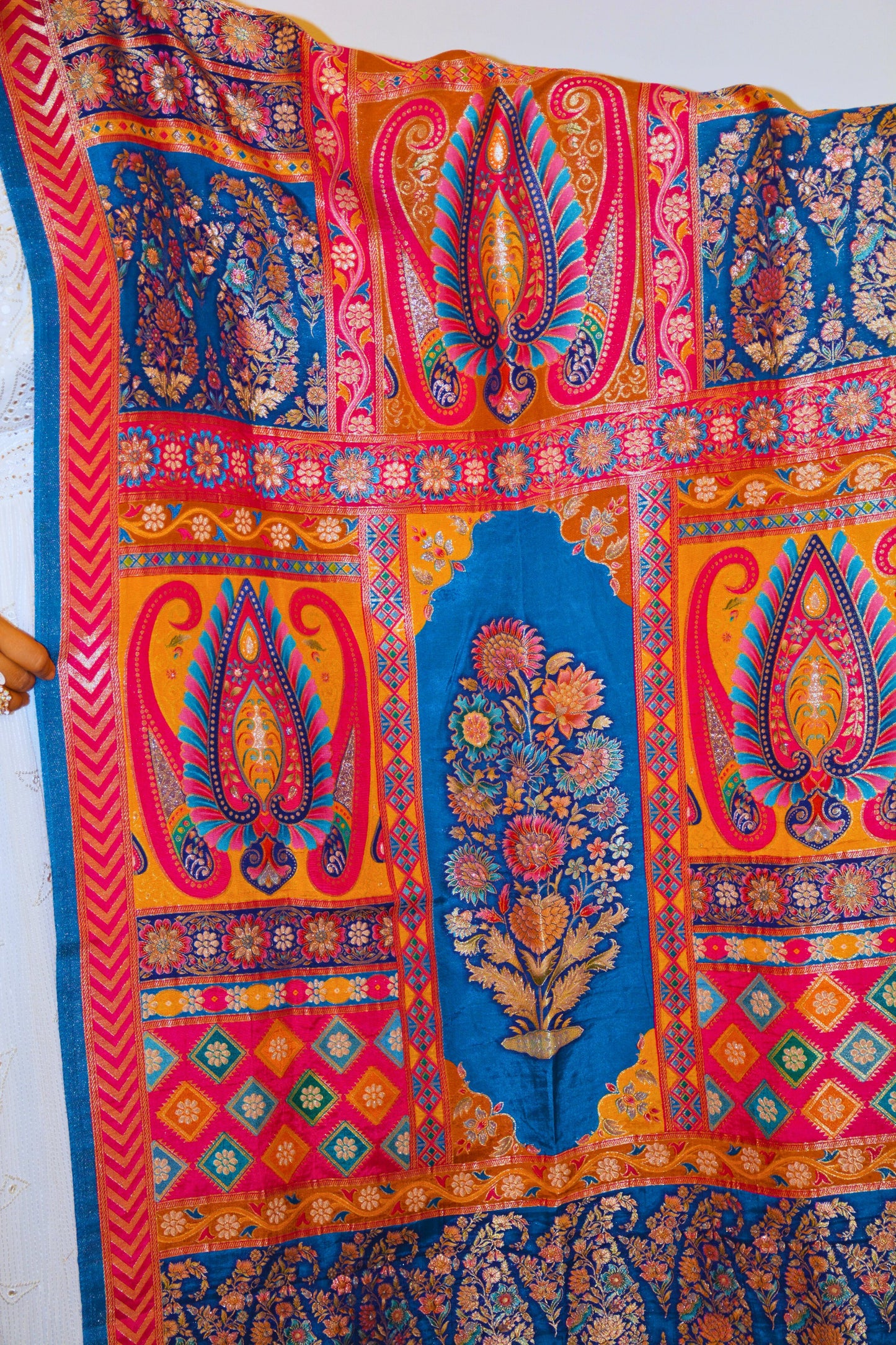 Dola Silk Banarasi - Red and Blue
