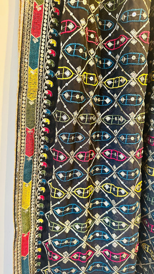 Georgette - Embroidery work