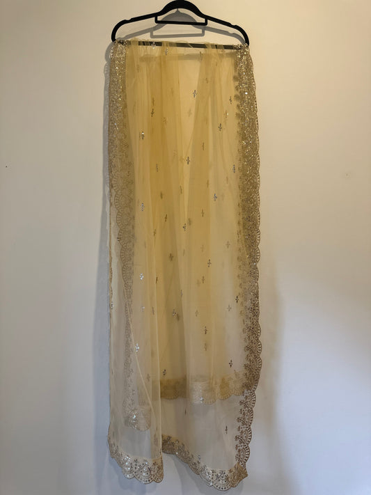Golden Net Dupattas