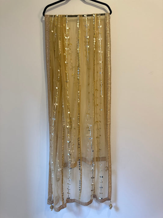 Golden Net Dupattas
