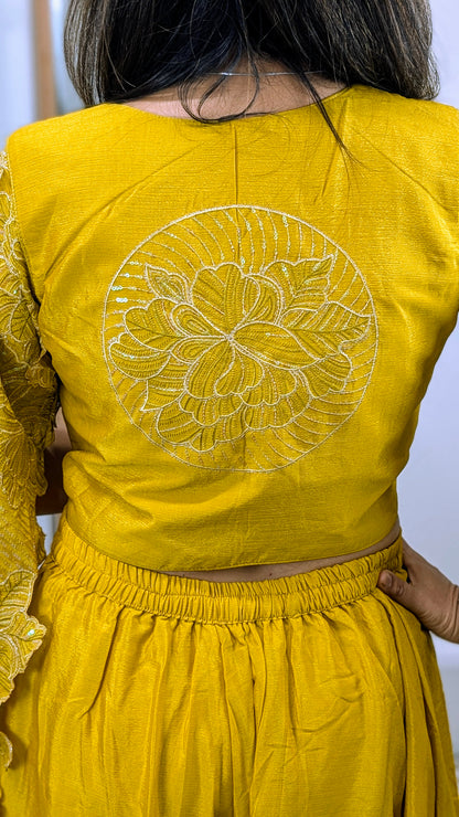 Zehra Chinon Silk Party wear with Embroidered Long Sleeves