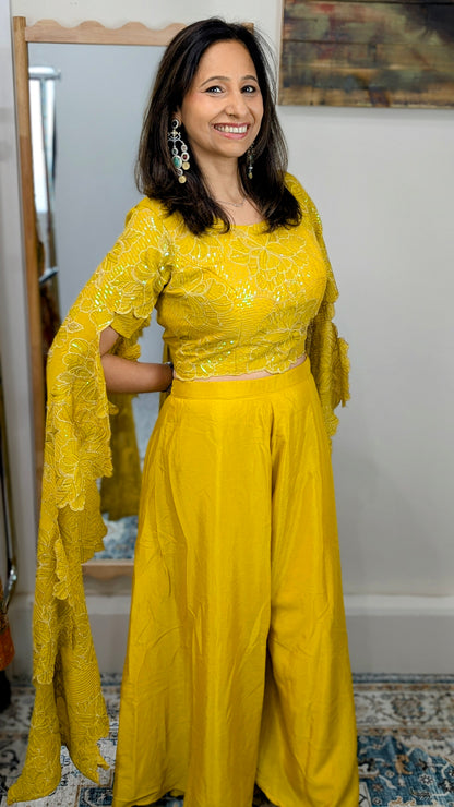 Zehra Chinon Silk Party wear with Embroidered Long Sleeves