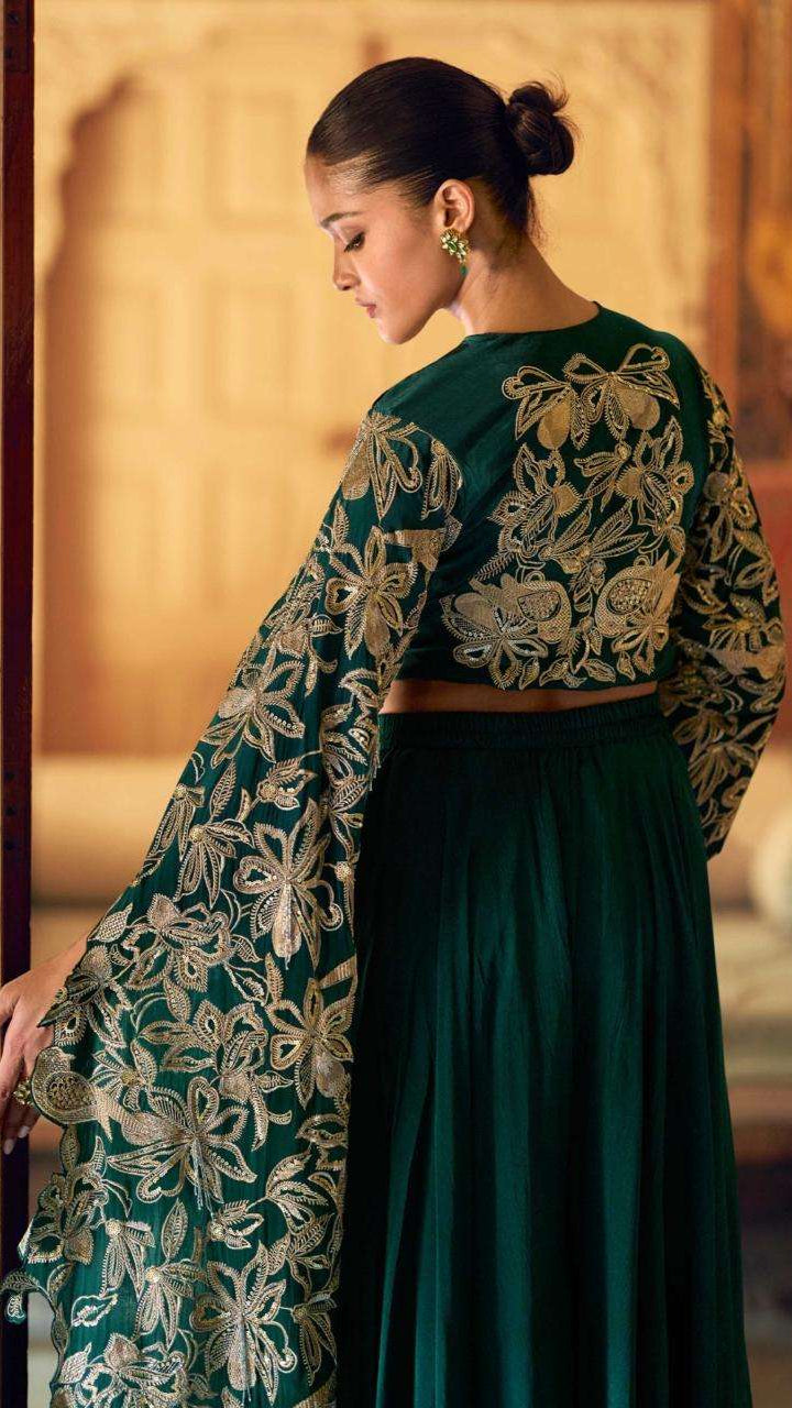 Zehra Chinon Silk Party wear with Embroidered Long Sleeves
