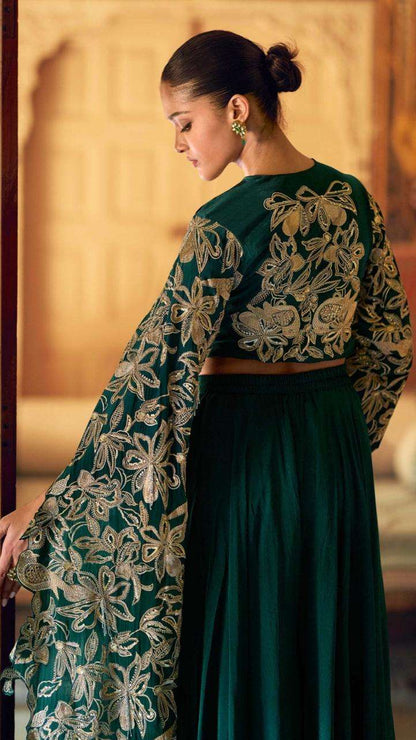 Zehra Chinon Silk Party wear with Embroidered Long Sleeves